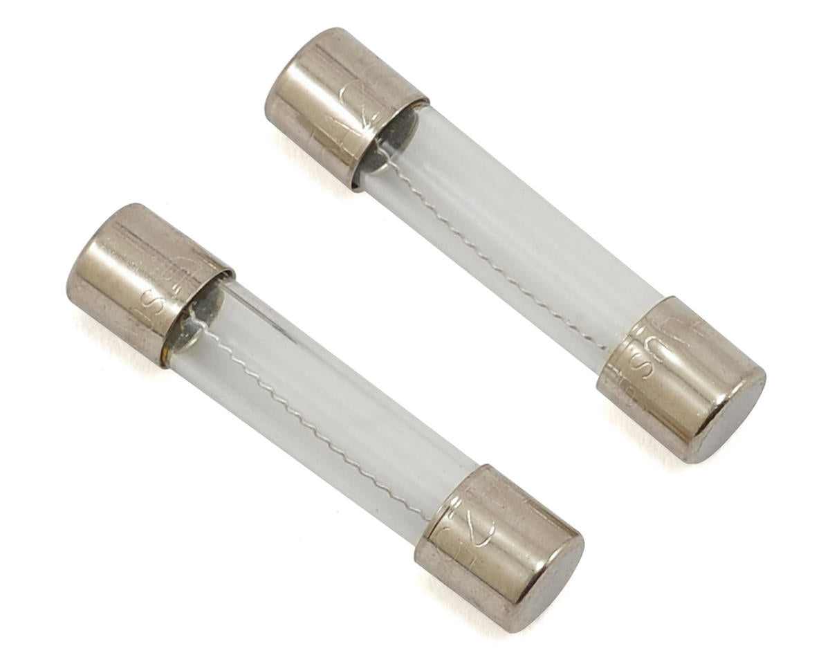 5 Amp Fuse (2)